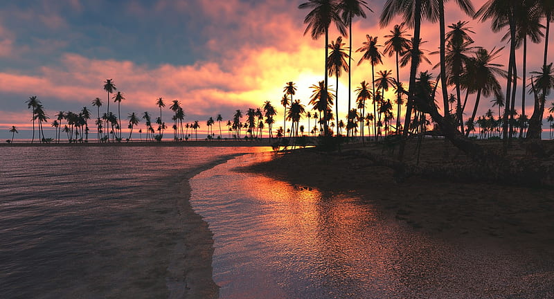 Palm Trees Sunset Sea, trees, palm, nature, sunset, sea, HD wallpaper