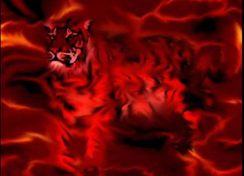 Flaming Tiger, red, tiger, cat, flames, HD wallpaper | Peakpx