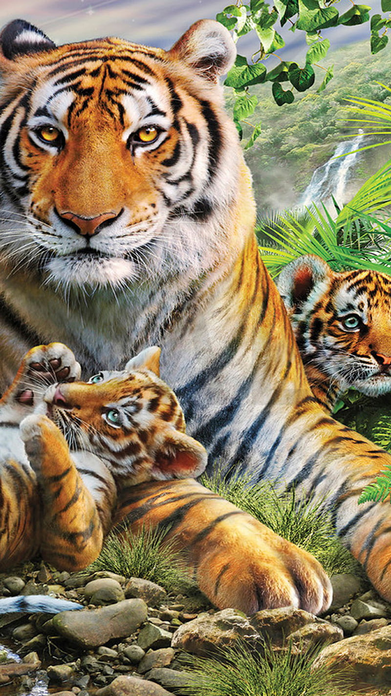Tiger family , tiger family, cute, jungle, trees, natural, animals, HD phone wallpaper