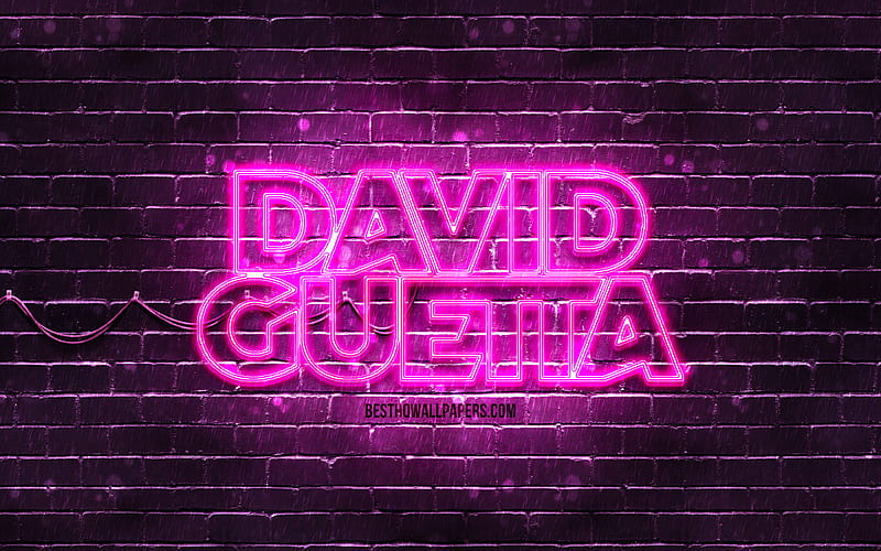 David Guetta purple logo superstars, french DJs, purple brickwall, David Guetta logo, Pierre David Guetta, David Guetta, music stars, David Guetta neon logo, HD wallpaper