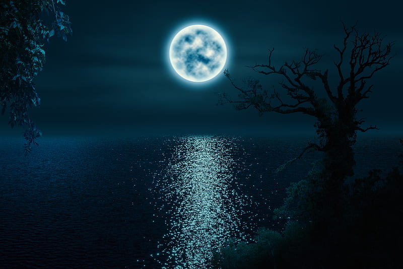 Full Moon Night, Lake, Trees, Night, Moonlight, HD wallpaper