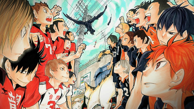 Haikyuu, Volleyball, Karasuno, Nekoma, Anime, HD wallpaper