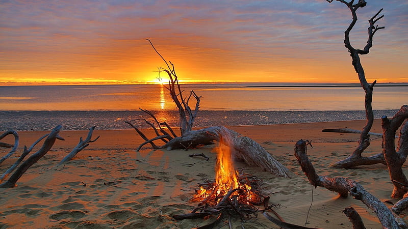 Camp Fire in the Sunset, beach, fire, sand, nature, sunset, reflection, sky, sea, HD wallpaper