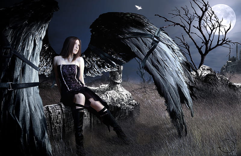 Restrained, female, wings, boots, angel, artwork, straps, tree, fantasy, moon, feathers, HD wallpaper