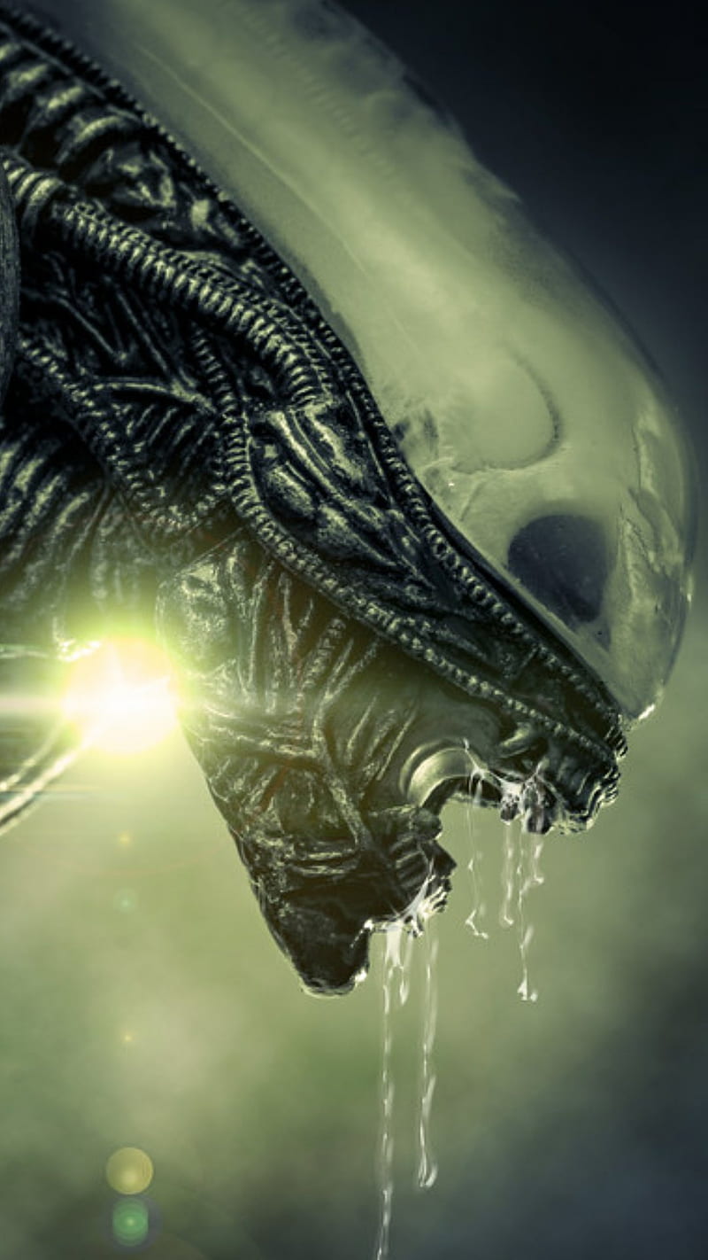 Vortex studios Alien, alien vs predator, alien2021, godzilla, predator, xenomorph, HD phone wallpaper