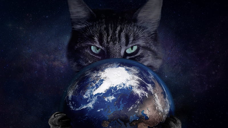 Space Cat, cat, earth, space, animal, HD wallpaper