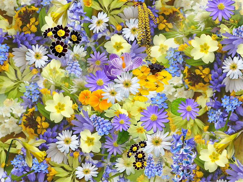 Bed of Flowers, HD wallpaper