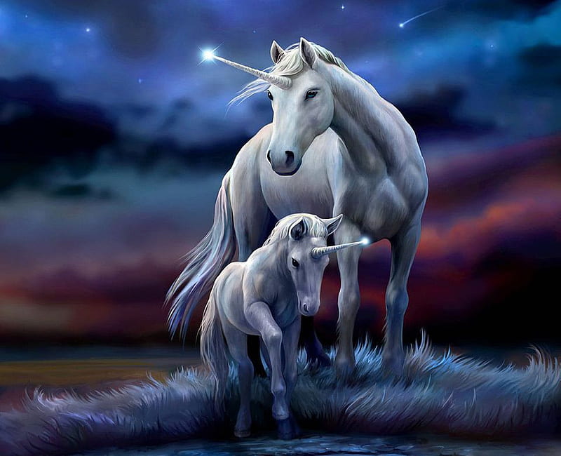 Eternal Bond, art, foal, white, unicorn, digital, HD wallpaper