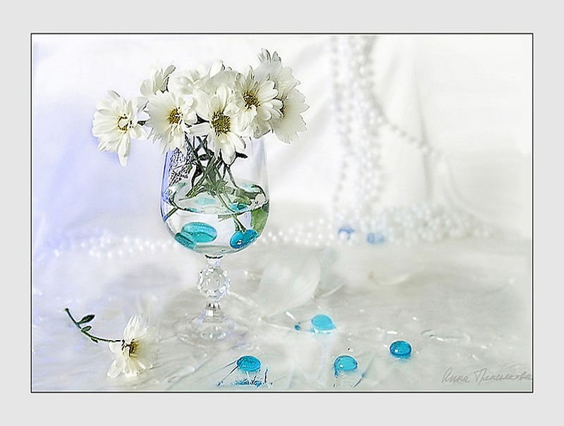 Graceful, dainty, jewelry, daisies, still life, glass, water, flowers, petals, pearls, marbles, white, blue, HD wallpaper