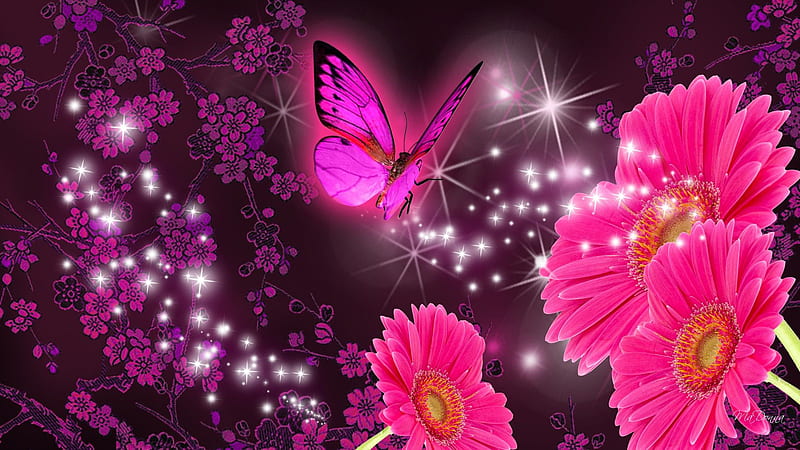 Pink Black Butterfly With Pink Flowers In Glittering Background Pink Butterfly, HD wallpaper