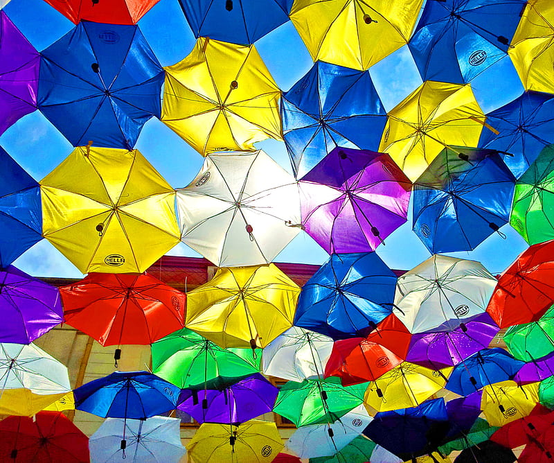 Umbrellas, 2014, timisoara, HD wallpaper