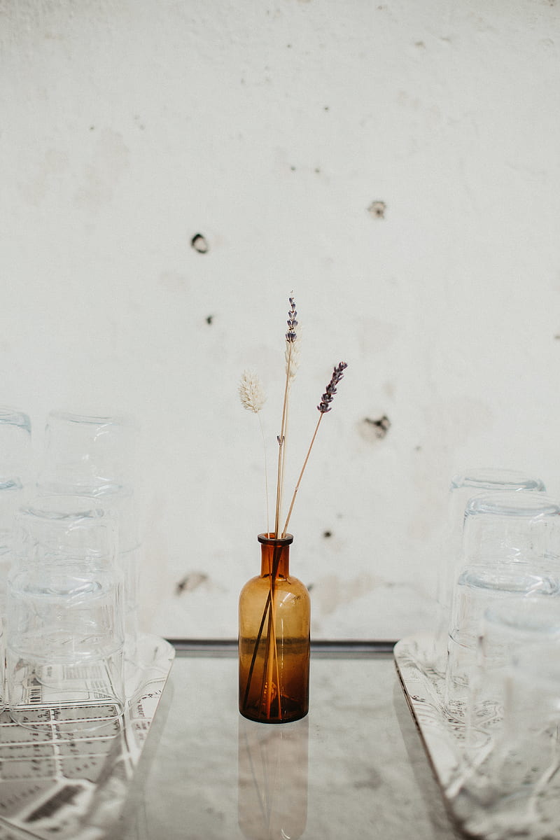 ears, vase, glass, white, HD phone wallpaper