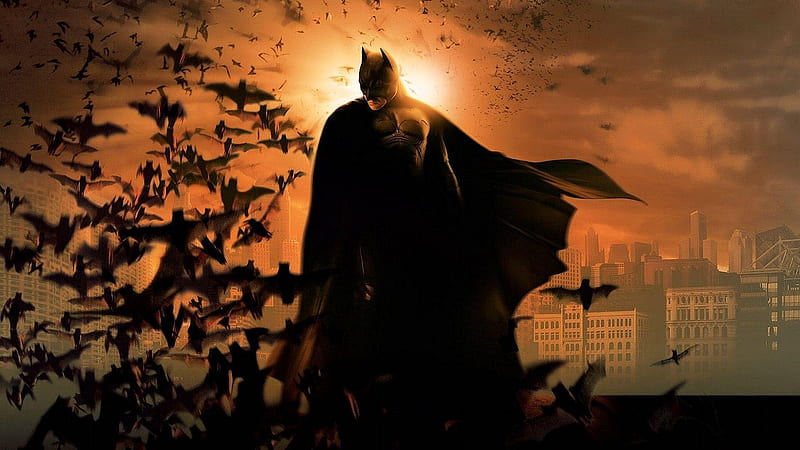 Batman en murciélagos batman, Fondo de pantalla HD | Peakpx