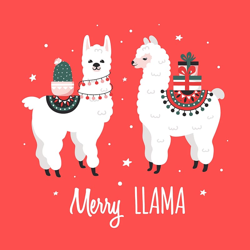 Merry Christmas greeting card with cute Lamas. 8284761 Vector Art at Vecteezy, Christmas Llama, HD phone wallpaper