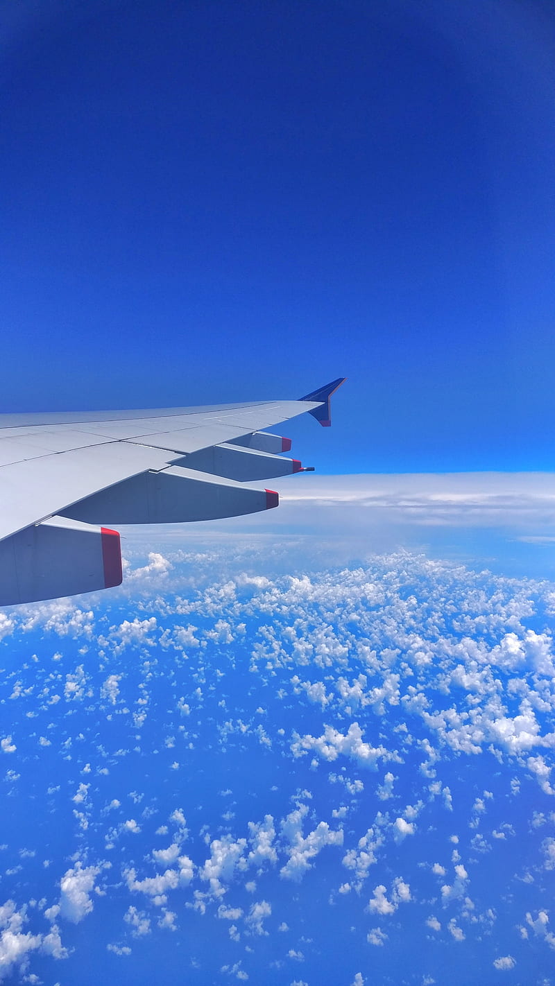 Window Skies, aeroplane, aircraft, airplane, blue, plane, seat, skies, sky, window, wing, HD phone wallpaper