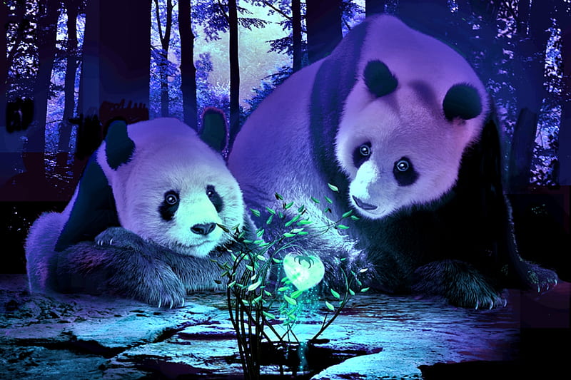Heart of Spring, panda, forest, art, fantasy, painting, magic, HD wallpaper