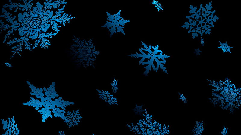 snowflakes wallpaper black