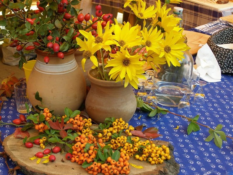 AUTUMN PROFUSION, table, fall, autumn, seasons, linens, daisies, pottery, berries, posies, flowers, HD wallpaper
