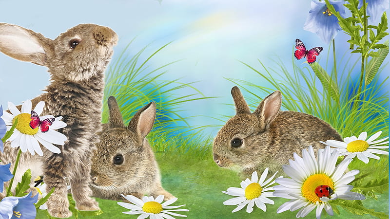 Spring Bunnies, grass, butterflies, spring, yard, ladybug, summer, garden, rabbits, flowers, bunnies, Firefox Persona theme, HD wallpaper