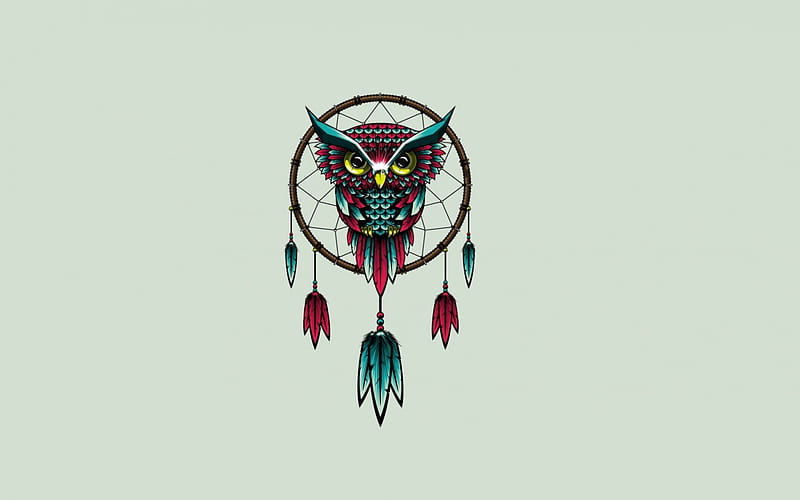 Dreamcatcher, red, owl, bird, green, HD wallpaper