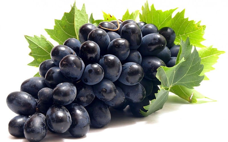 Grapes, autumn, food, sweet, dessert, leaf, fruit, green, white, blue, HD wallpaper