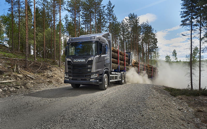 Scania R650 2017 truck, 6x4, timber carrier, trucks, R-series, Scania, HD wallpaper