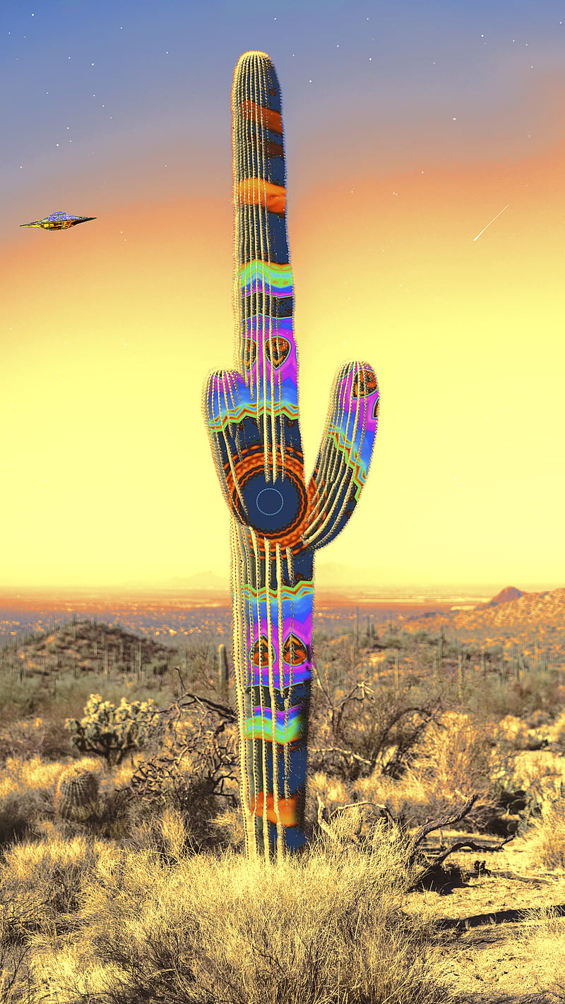 Cac, cactus, colorful, colors, desert, psicodelia, trippy, ufo, vibrant, vivid, HD phone wallpaper