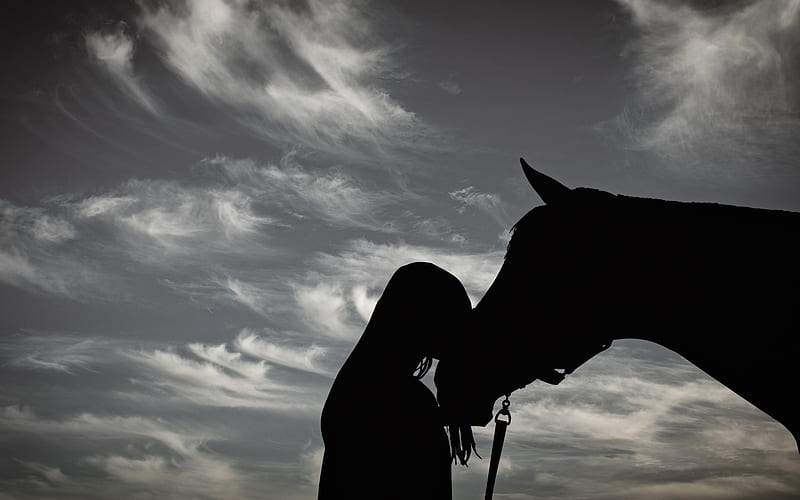 Friendship forever, nature, sky, horse, girl, HD wallpaper | Peakpx