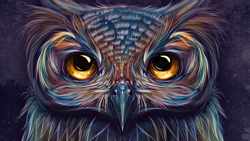 Owl Colorful Art , owl, colorful, artist, artwork, digital-art, HD wallpaper