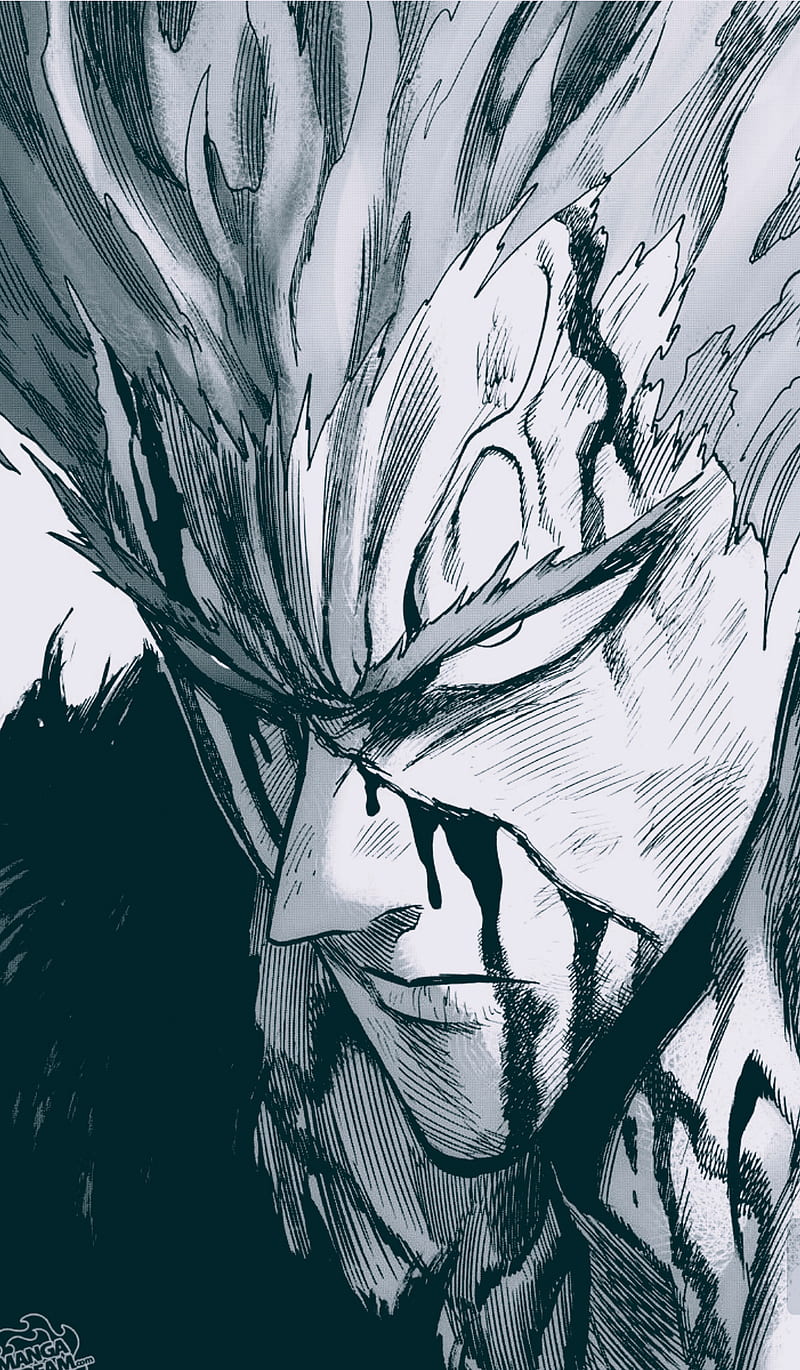 Garou, one punch man, art, manga, anime, monster, HD phone