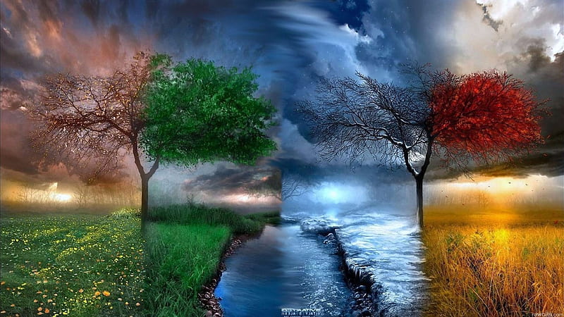 Seasons, red, autumn, yellow, spring, creative, winter, tree, fantasy, summer, season, pink, blue, HD wallpaper
