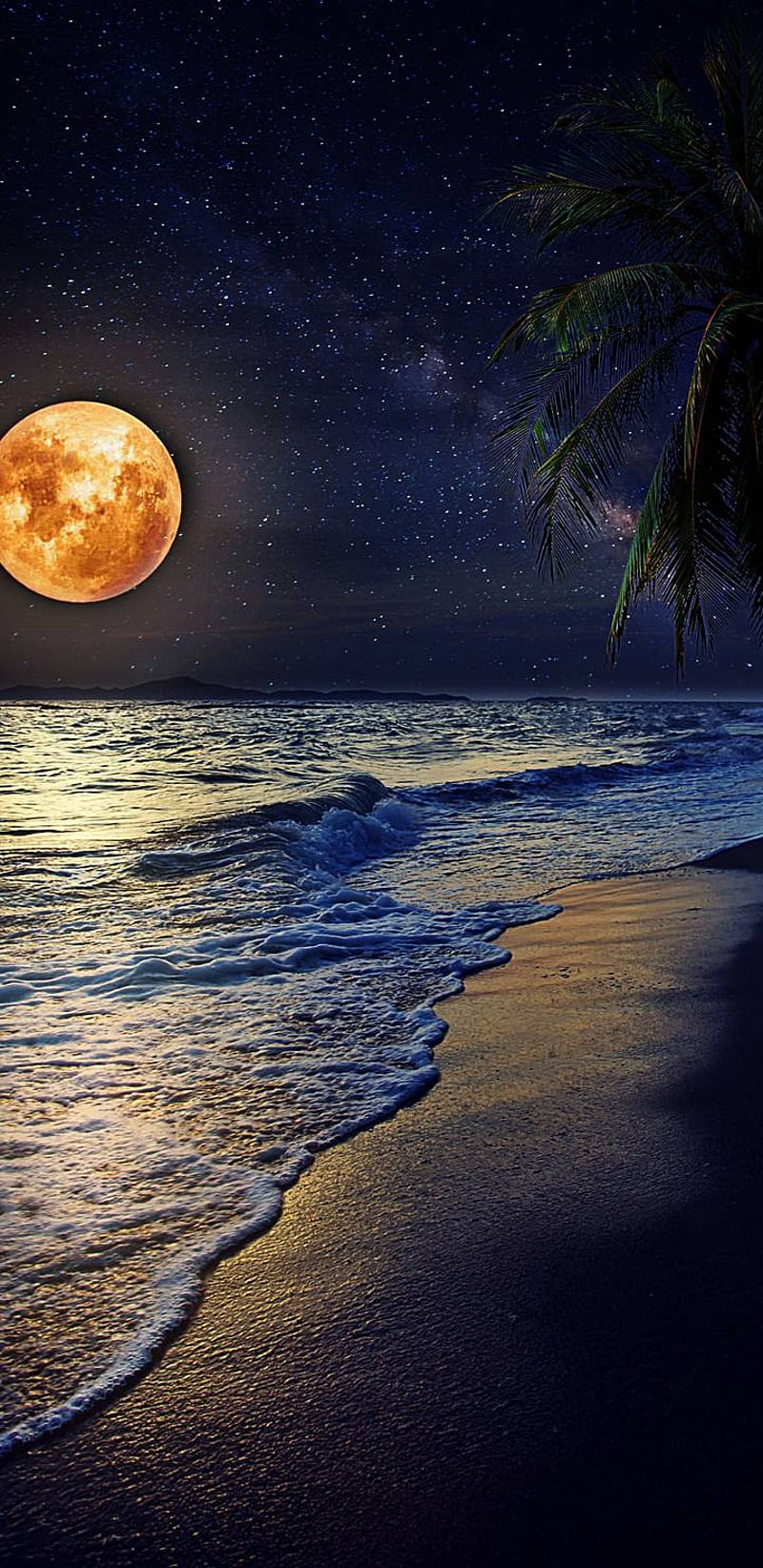 Big Moon Night – Wallpaper - Chill-out Wallpapers-mncb.edu.vn