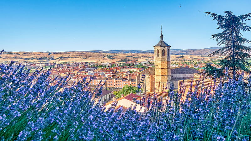 Churches, Church, Bell Tower, Building, Flower, House, Lavender, Panorama, Spain, Tower, HD wallpaper