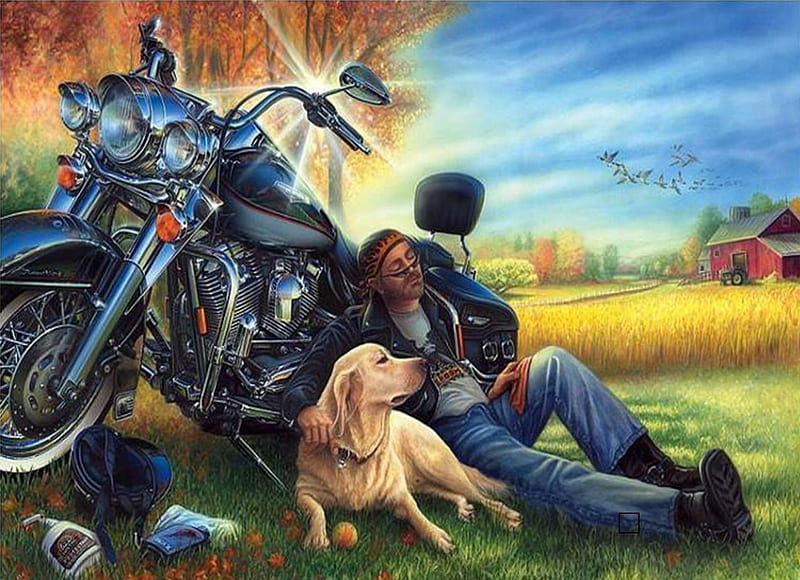 Lazy Day In The Country, country, harley, motorcycle, dog, HD wallpaper