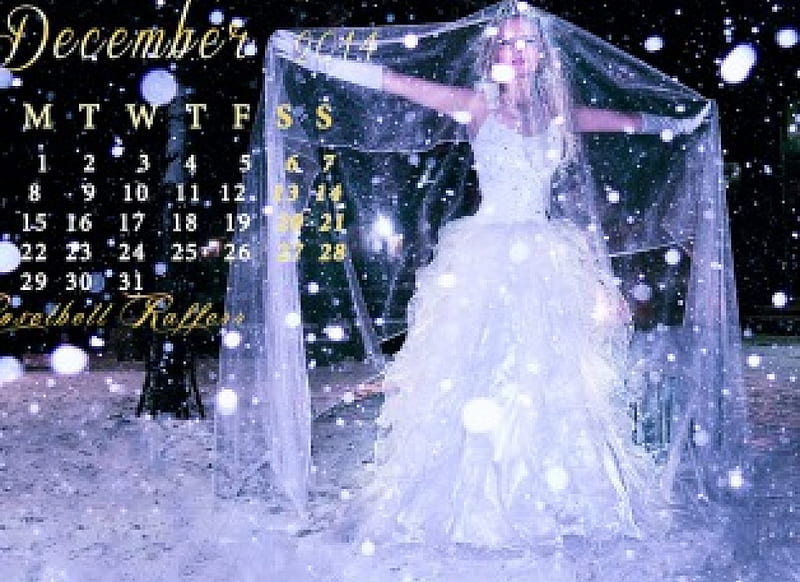Roselbell Rafferr December Calendar 2014, lace, bride, yellow, calendar, groom, snoww, night, fairy tale, model, december, gown, tail, golden, blonde, wedding, winter, fashion, HD wallpaper