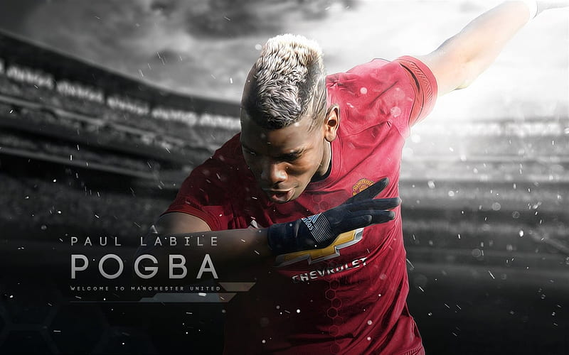 Paul Pogba, footballers, MU, midfielder, Manchester United, football stars, Premier League, HD wallpaper