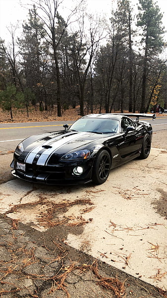 Dodge Viper gt3