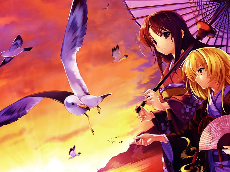 Seagulls-Anime character design, HD wallpaper