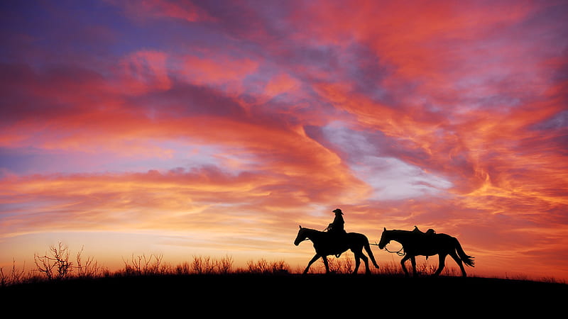 Cowboy, horses, silhouette, sunrise, sunset, HD wallpaper