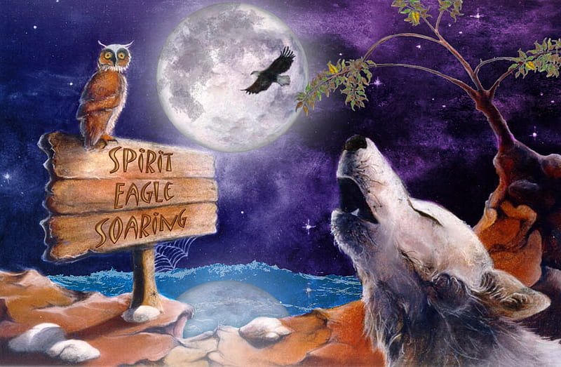 Spirit Eagle Soaring, moon, wolf, bald eagle, art, owl, howling, HD wallpaper