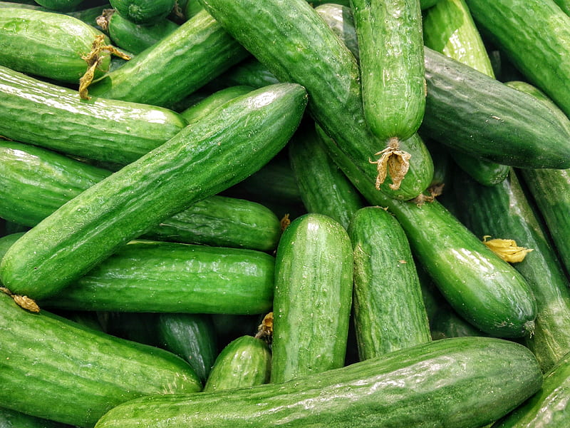cucumber lot, HD wallpaper