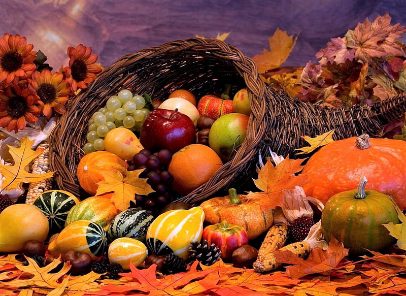 Autumn Basket Of Fruit With Flowers, Flowers, Leaves, Pumpkins, Fruit ...