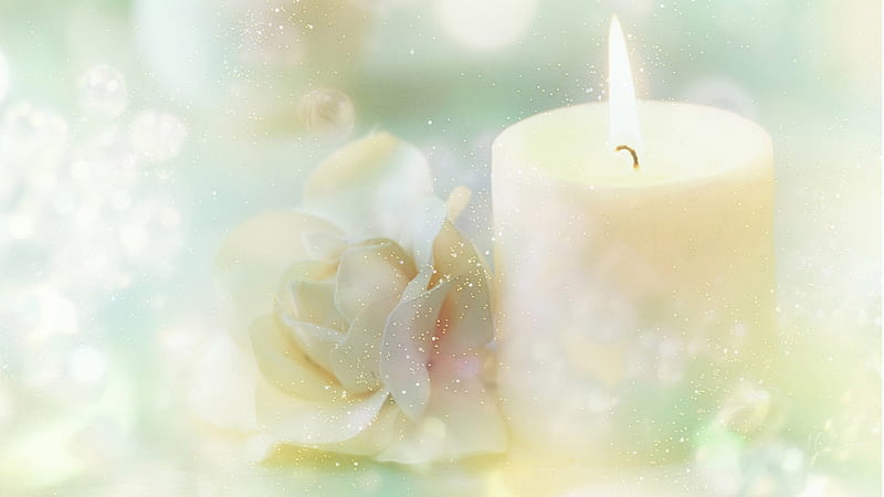 Roses Candle, candle, rose, soft, bokeh, flame, flowers, pastel, Firefox Persona theme, light, HD wallpaper