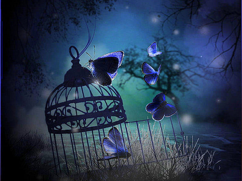 ✫dom of Butterflies✫, pretty, softness beauty, attractions in dreams, bonito, digital art, manipulation, love, butterfly designs, light, animals, lovely, blue dreams, love four seasons, creative pre-made, dom, butterflies, cage, plants, backgrounds, nature, HD wallpaper