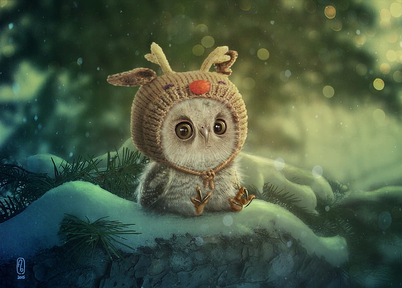 Tiny Christmas owl, owl, luminos, florianne becker, craciun, christmas, pasare, fantays, baby, animal, winter, iarna, cute, bufnita, fantasy, bird, green, HD wallpaper