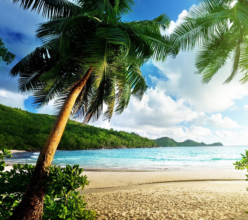 Thailand, beach, ocean, palm trees, sea, HD wallpaper | Peakpx