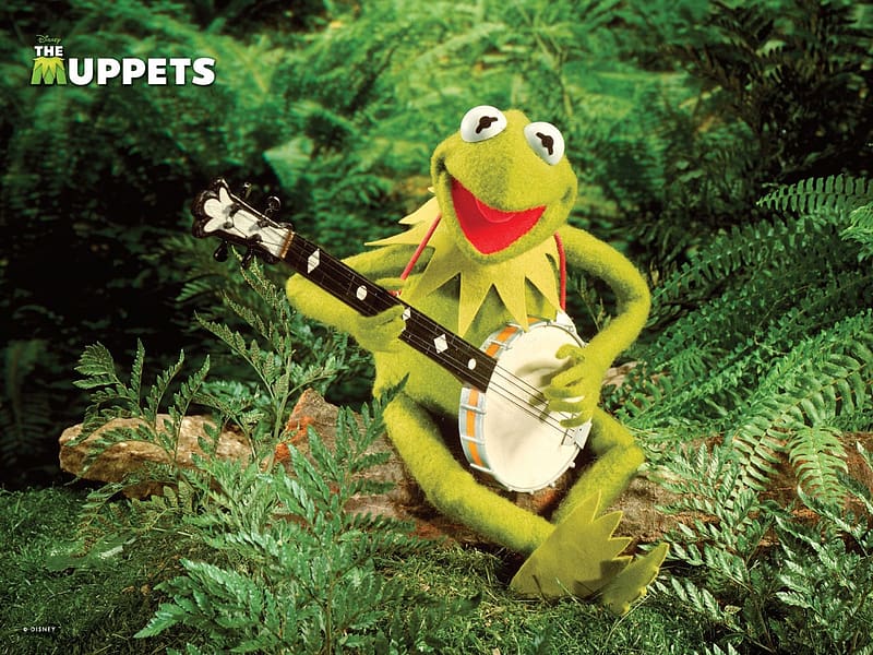 Tv Show, The Muppet Show, The Muppets (Tv Show), Kermit The Frog, HD wallpaper
