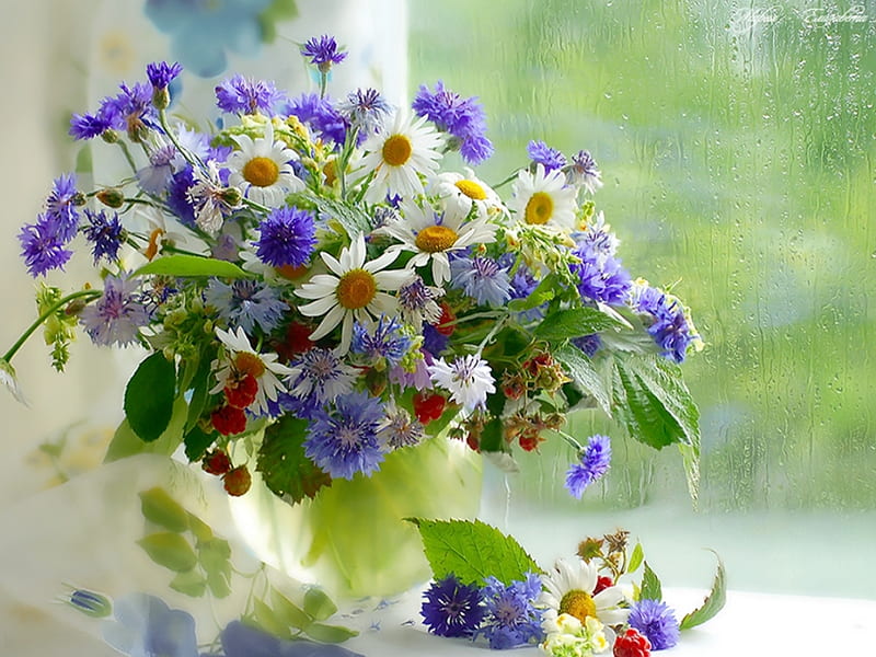 Rainy Day With Flowers, glass, cornflowers, rain, window, HD wallpaper