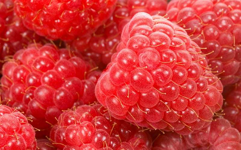 Raspberries, fruit, red, food, raspberry, dessert, sweet, HD wallpaper
