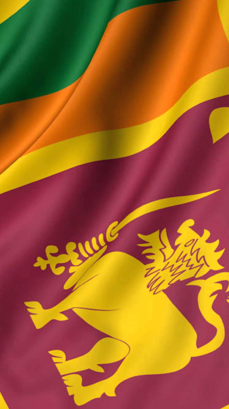 Sri Lanka, ceylon, cricket, lankan, lions, srilanka, srilanka flag, HD phone wallpaper